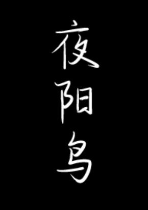 【BG言情】懸疑推理言情小說-《夜陽鳥》作者: 余姍姍【黎湘、辛念、戚晚 |現代+懸疑推理+復仇+三位女主文】 - 修仙 - 蒼野之鷹｜Starry Eagle｜個人網站