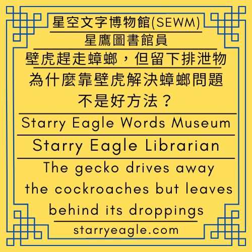 星鷹圖書館員：壁虎趕走蟑螂，但留下排泄物｜星鷹圖書館｜Starry Eagle Librarian: The gecko drives away the cockroaches but leaves behind its droppings｜Starry Eagle Library - 蒼野之鷹｜星空文字博物館｜Starry Eagle Words Museum (SEWM)