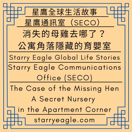 消失的母雞去哪了？公寓角落隱藏的育嬰室｜星鷹通訊室（SECO）｜星鷹全球生活故事｜The Case of the Missing Hen: A Secret Nursery in the Apartment Corner｜Starry Eagle Communications Office (SECO)｜Starry Eagle Global Life Stories - 蒼野之鷹｜星空文字博物館｜Starry Eagle Word Museum (SEWM)
